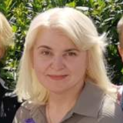 Суворова И.А.